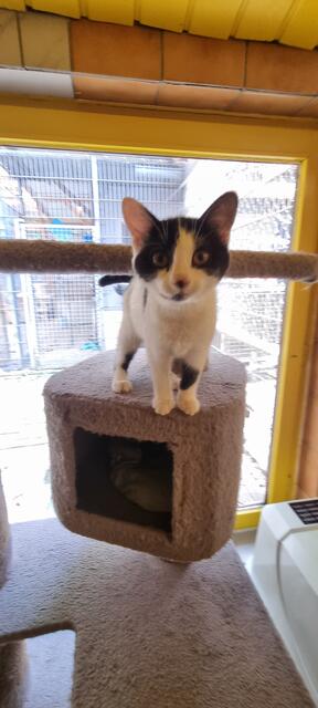 Yuna | Foto: Sabine Pollok