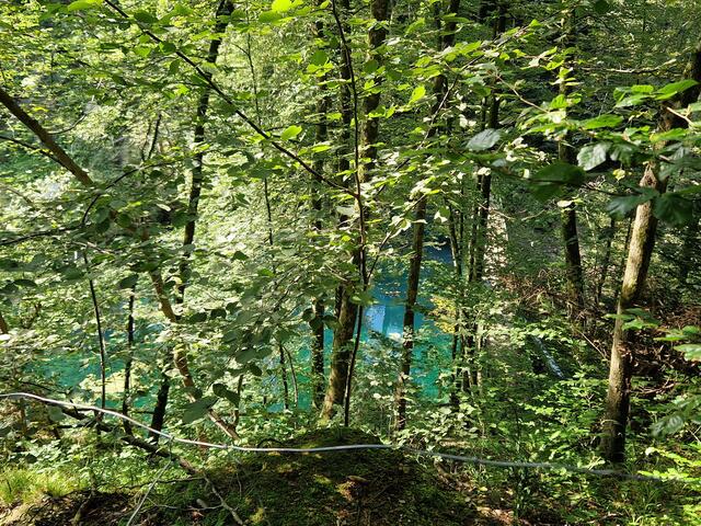 Ein smaragdgrüner Stausee mitten im Wald bot einen besonders romantischen Anblick. | Foto: Peter Metzger