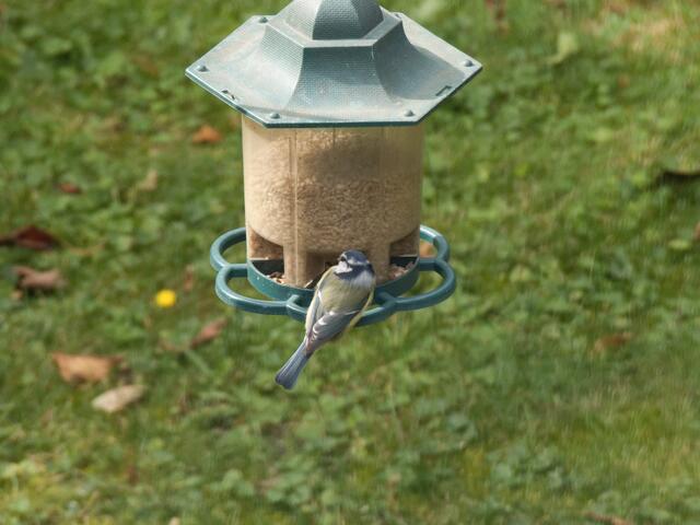 Der Herbst kann kommen, hier gibt es immer genug Futter!