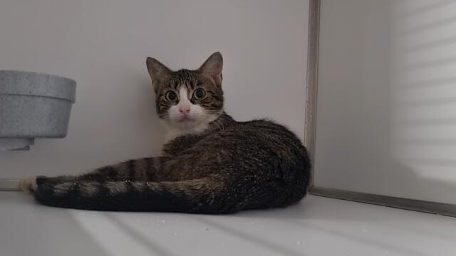 Maggy | Foto: Sabine Pollok