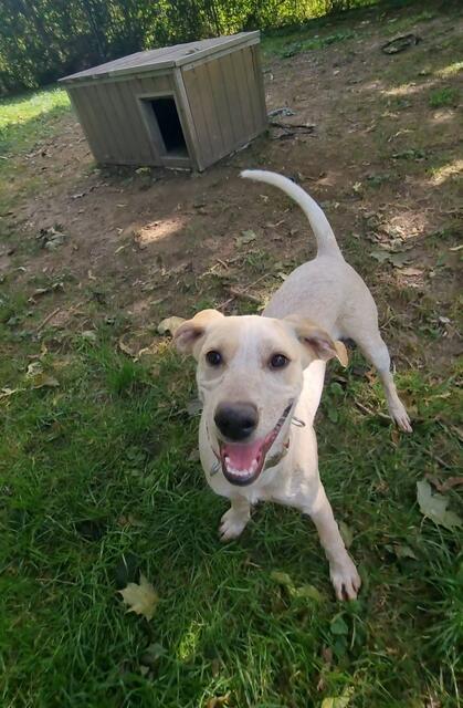 Emily (Welpe - Mama Emma) | Foto: Sabine Pollok