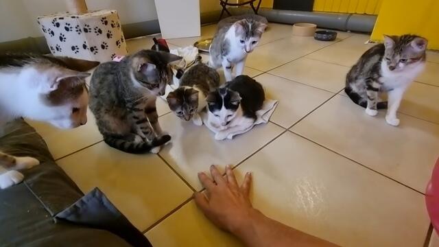 Das A-Team | Foto: Sabine Pollok