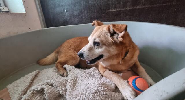 Pinsel | Foto: Sabine Pollok