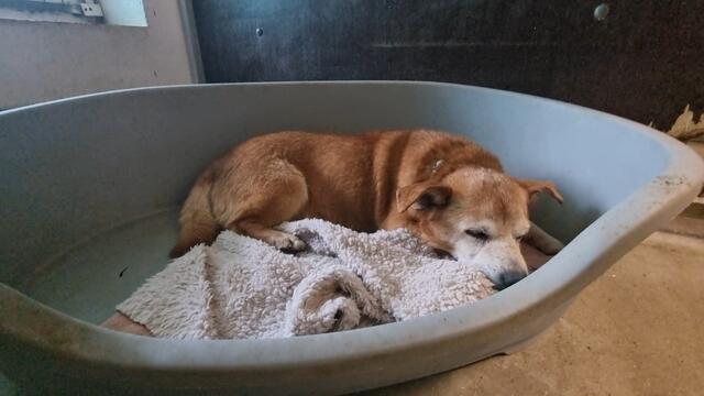 Pinsel | Foto: Sabine Pollok