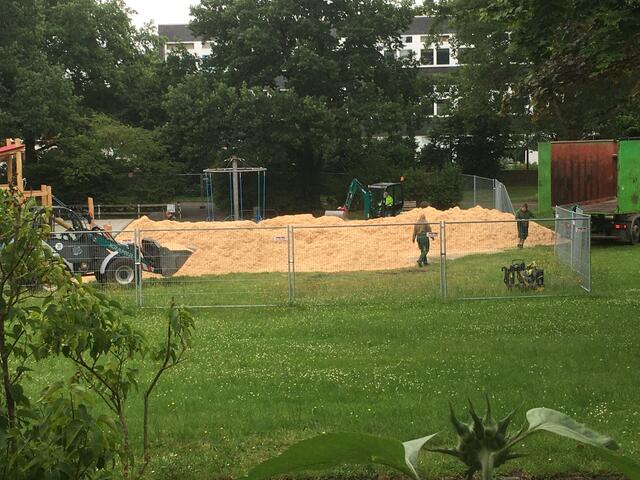Foto: Holzspäne wurden abgeladenn