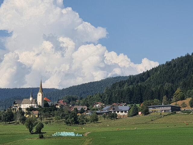 Foto: Bilder, A.Platschka