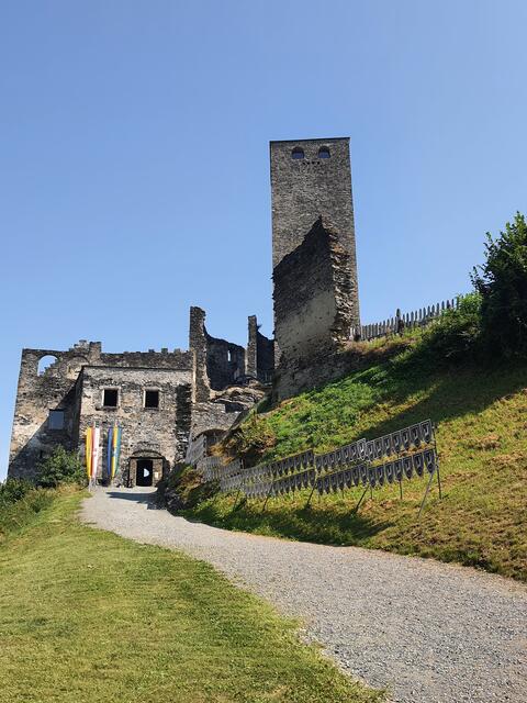 Foto: Bilder, A.Platschka