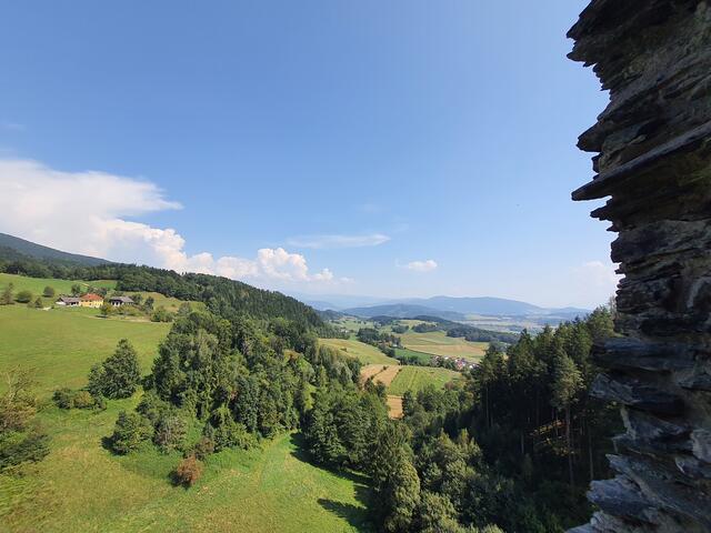 Foto: Bilder, A.Platschka