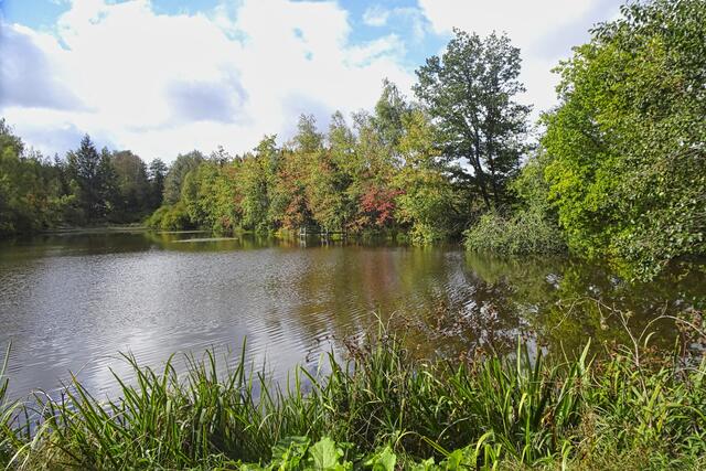 Ellerteich