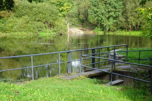 Brauteich in Güntersberge