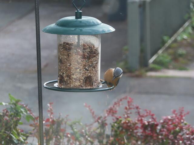 Original-Foto | Foto: M. A.