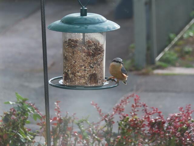 Original-Foto | Foto: M. A.