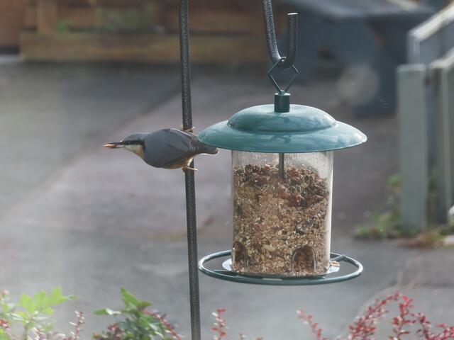 Original-Foto | Foto: M. A.