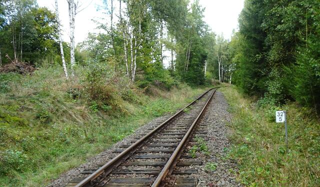 Gleise der Selketalbahn