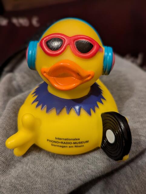 Alle meine Entchen.....oder die Phonoente aus Dormagen.