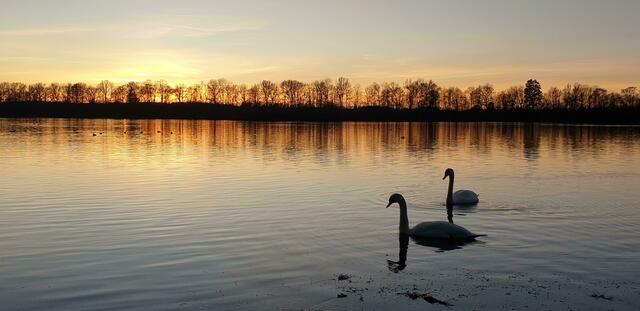 Foto: Alexander K. Belej
