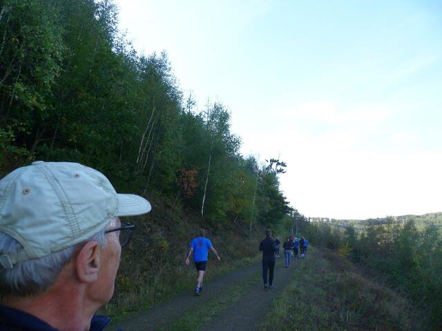 Der Harzer Wald erholt sich langsam wieder.

