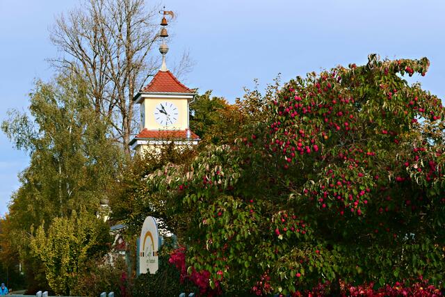 Rote Zierfrüchte beim Café am Stadtpark