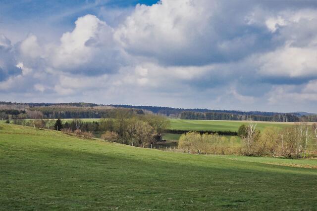 Bergwiesen um Stiege