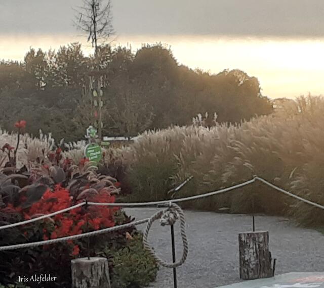 Foto: Iris Alefelder