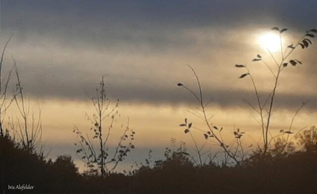 Foto: Iris Alefelder