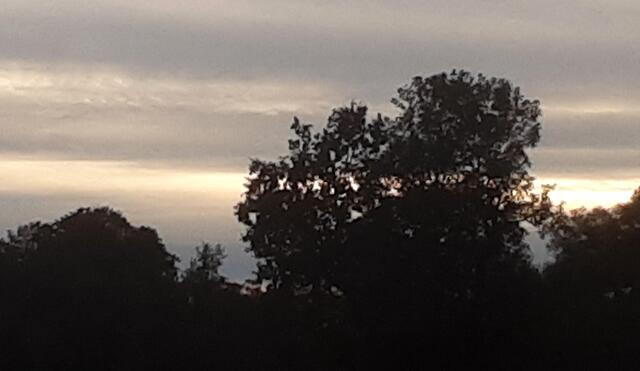 Foto: Iris Alefelder