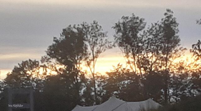 Foto: Iris Alefelder