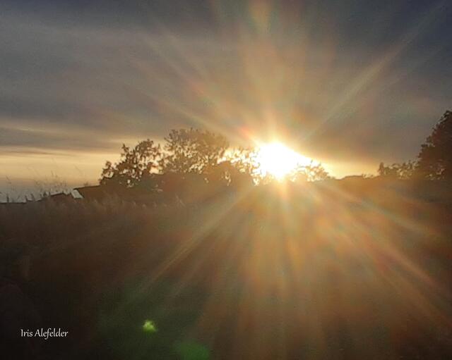 Foto: Iris Alefelder