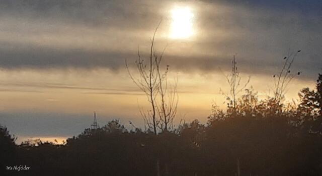 Foto: Iris Alefelder