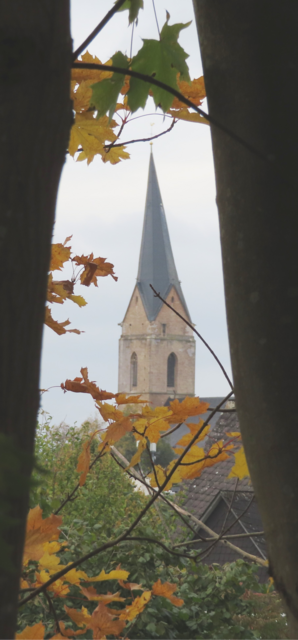 Ausschnitt aus dem Original-Foto. | Foto: M. A.