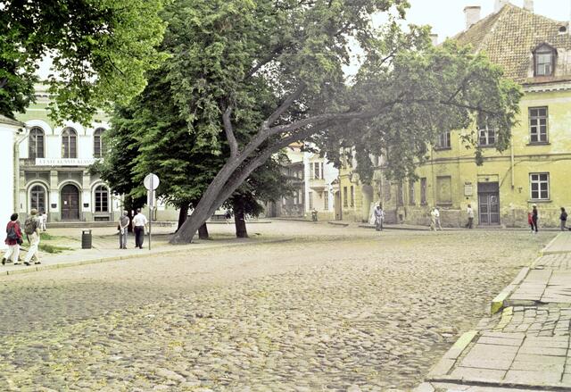 In Tallin, der Hauptstadt Estlands