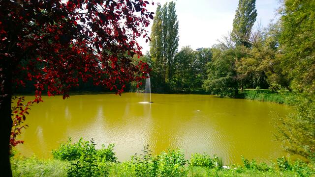 Idylle hinter einem Krankenhaus in Langenhagen | Foto: Shima Mahi