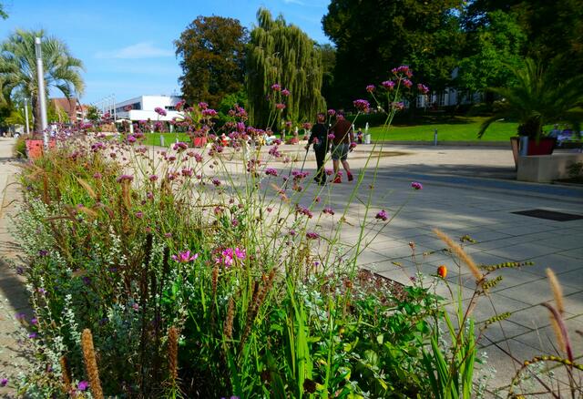 Kurpromenade | Foto: Shima Mahi