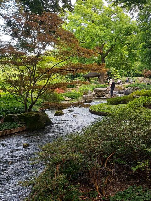 Der Japangarten - eine Oase der Ruhe