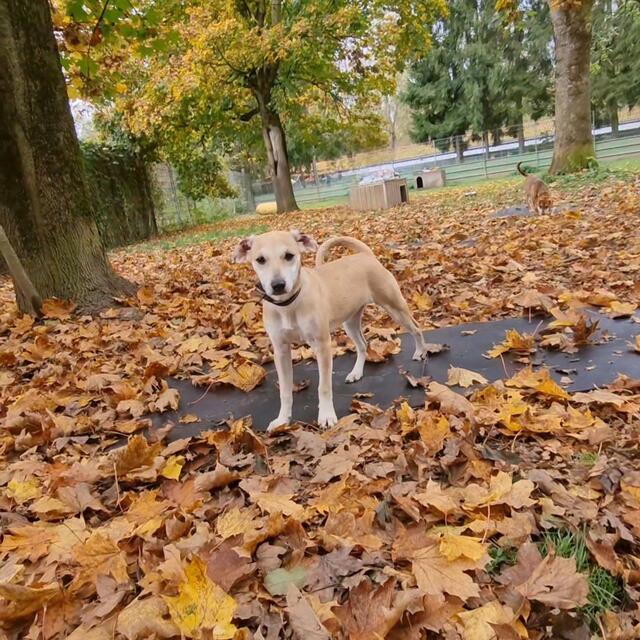 Lana | Foto: Sabine Pollok