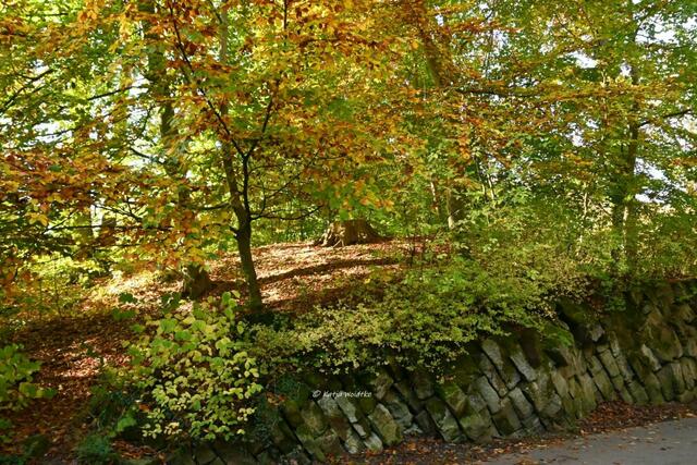 Schlösser und Burgen in Deutschland (Foto: Katja Woidtke)

Schloss Marienburg - befestigter Durchstich des Ringwalls auf dem Marienberg. | Foto: Katja Woidtke
