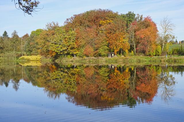 herbstlicher Gondelteich