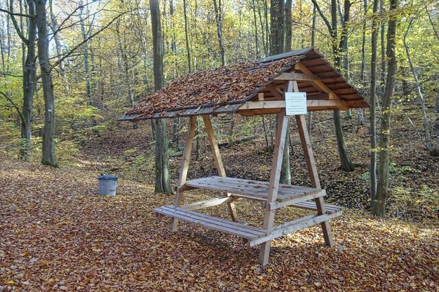 Hirschraufe an der Stahlquelle