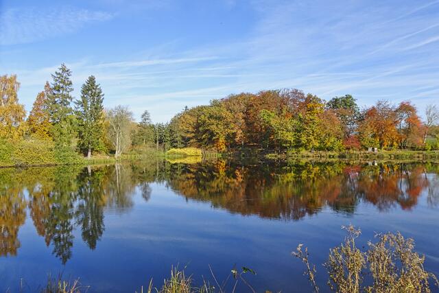 Herbst am Gondelteich