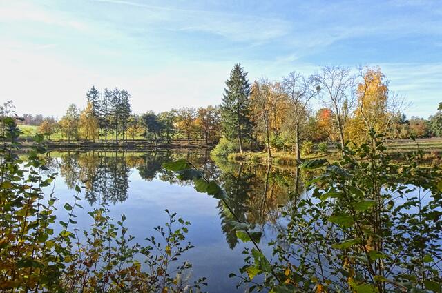 Gondelteich - Kunstteich - Neuer Teich