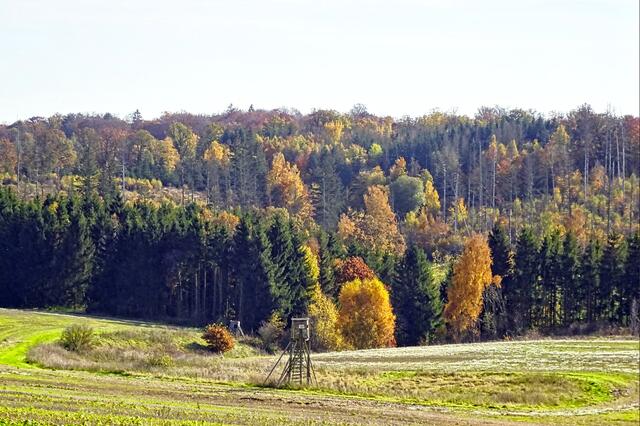 Herbst in den Wipperbergen