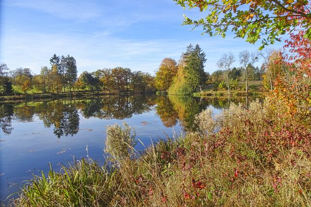 Herbst am Gondelteich