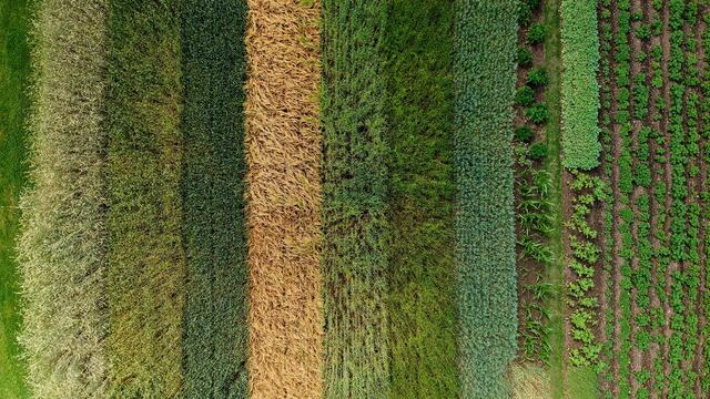 Foto: Matthias Meyer