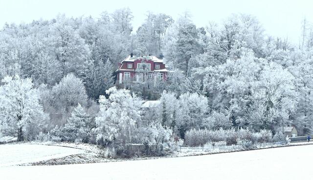 JANUAR: Das rote Haus am tiefverschneiten Kobelhang in Westheim