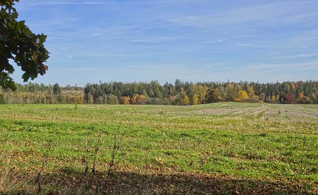 Blick von der Hirschraufe - in der Nähe des Steinweges - auf eine Harzwiese