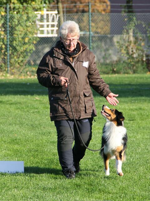 Foto: Private Fotos des Erstellers
