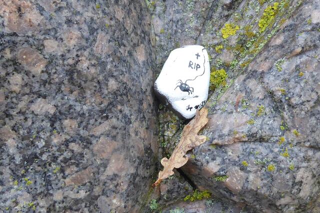 Es ist ein Wanderstein, der wie ein Grabstein mit RIP (Rest in peace=Ruhe in Frieden) und einem Kreuz gekennzeichnet ist. Dazu schwebt eine sechsbeinige schwarze Spinne herab. Am unteren Rand ist der Stein mit "Jp 10/24" signiert.