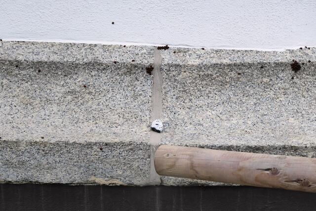 Die neue Warteposition des Leinesteins am 30.10.2024.