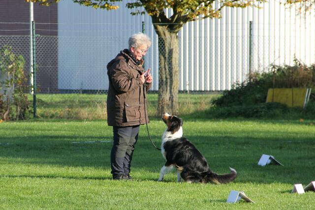 Foto: Private Fotos des Erstellers