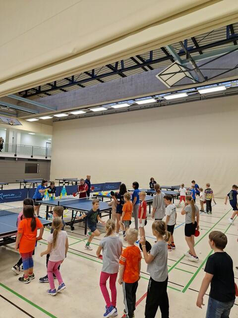 Foto: TV Dillingen